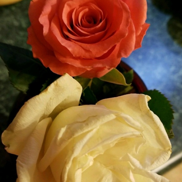 Meet your Posher, Amanda - Picture 1 of 1